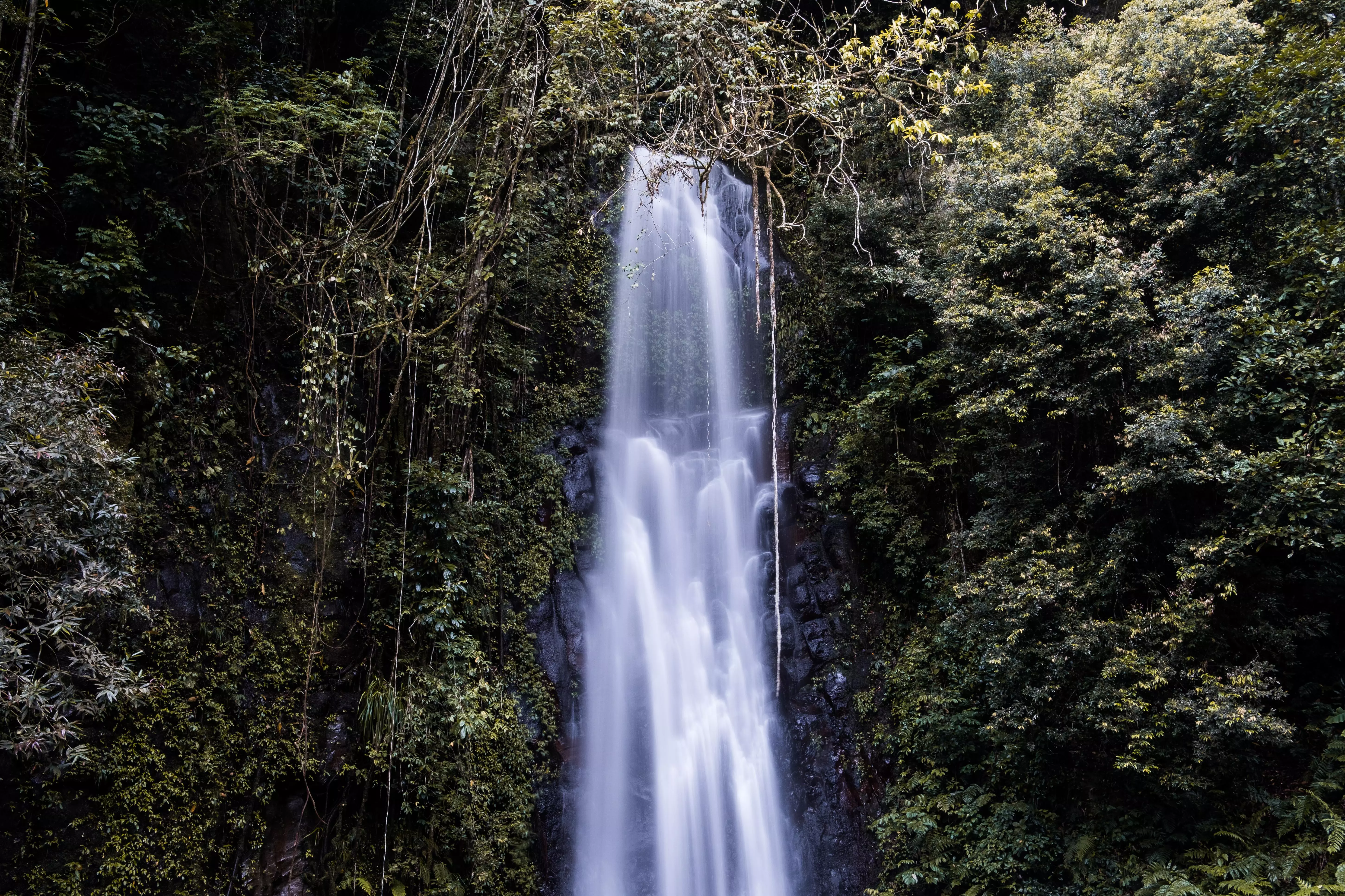 Cascata de São Nicolau