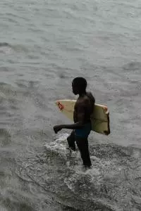 surf
