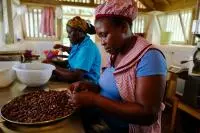 cacao sao tome