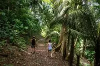 fôrets sao tome