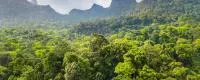 sao tome et principe